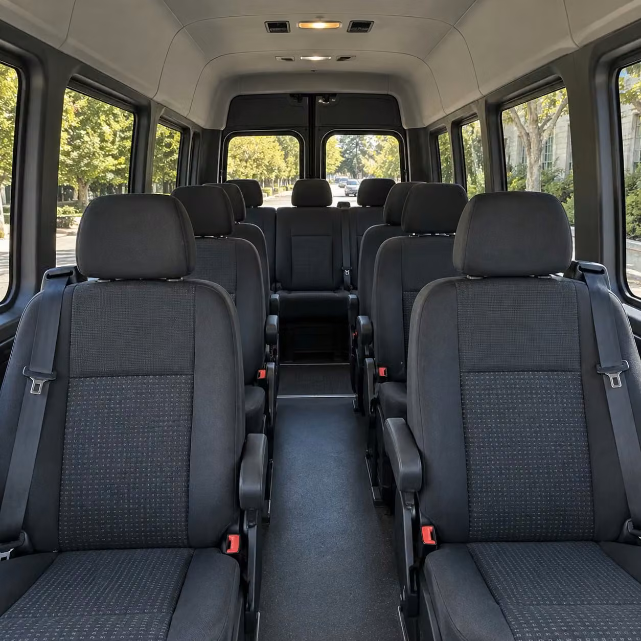 sprinter van with driver inside